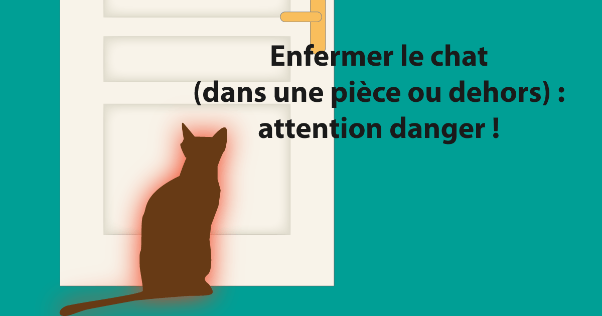 Enfermer le chat (dans une pice ou dehors) : attention danger !