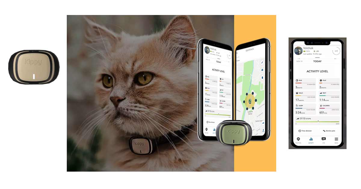 Traceur GPS et suivi d'activit Evo pour chat Kippy