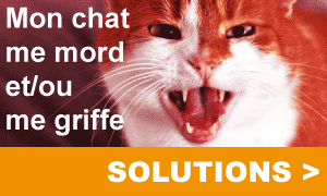 Solutions chat agressif