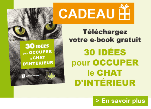 e-book gratuit 30 idées pour occuper le chat d'intérieur