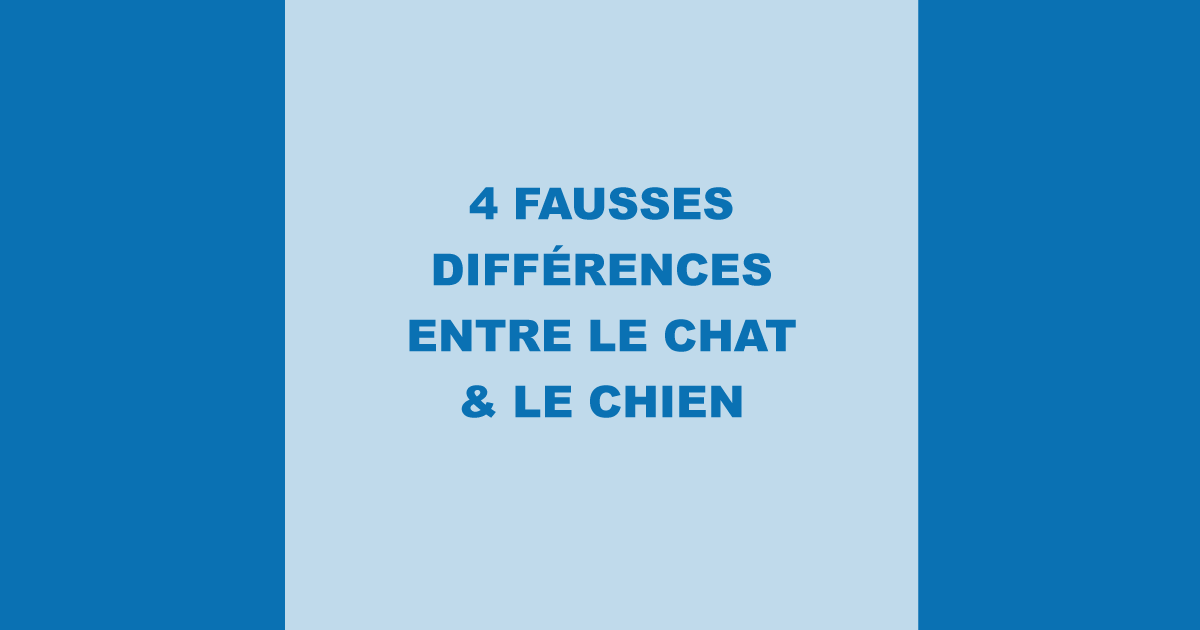 4 fausses diffrences entre le chat et le chien