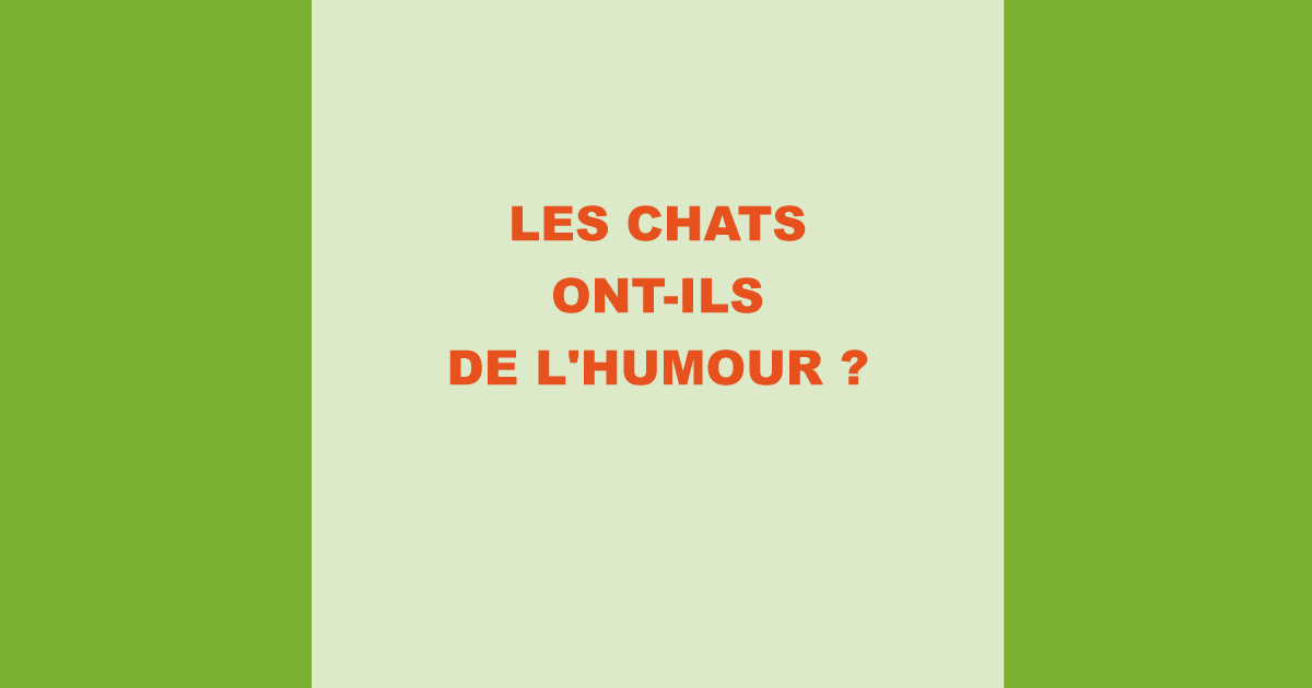 Les chats ont-ils de l'humour ?
