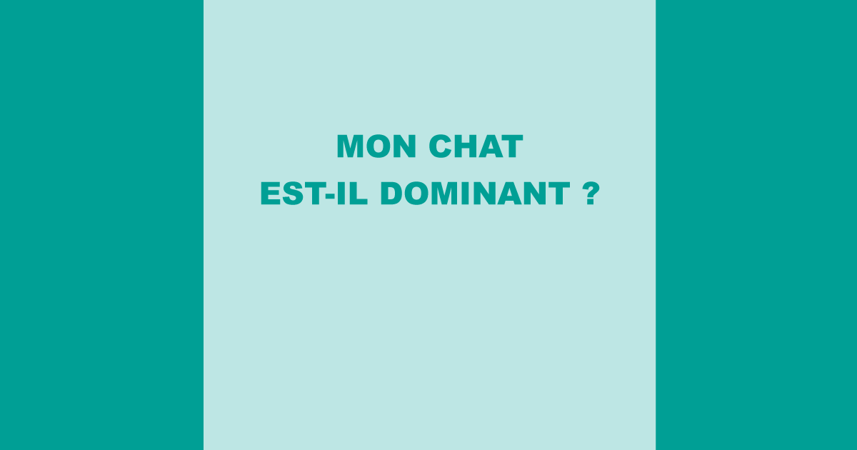 Mon chat est-il dominant ?