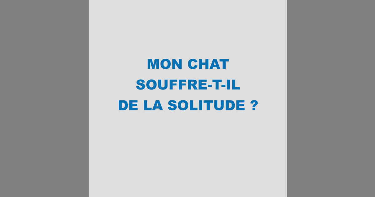 Mon chat souffre-t-il de la solitude ?