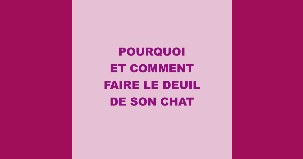 Pourquoi et comment faire le deuil de son chat ?