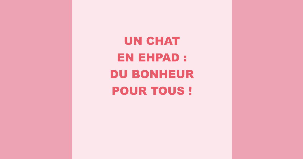 Un chat en EHPAD : du bonheur pour tous !