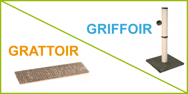 Difference-grattoir-griffoir