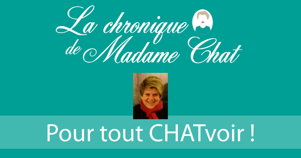 La Chronique de Madame Chat