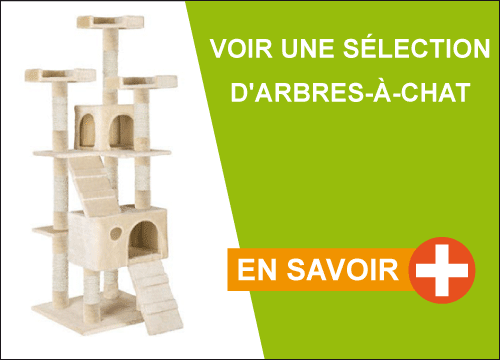 Selection d'arbres  chat