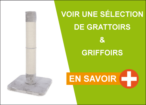 Selection de grattoirs et griffoirs