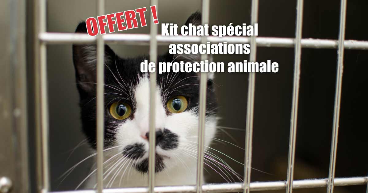 Kit chat gratuit spécial associations de protection animale