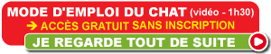 Masterclass bien-�tre chat