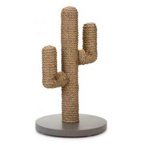 Cactus designed by lotte