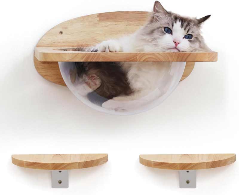 Couchage bulle et 2 platefromes mur d'activit pour chat