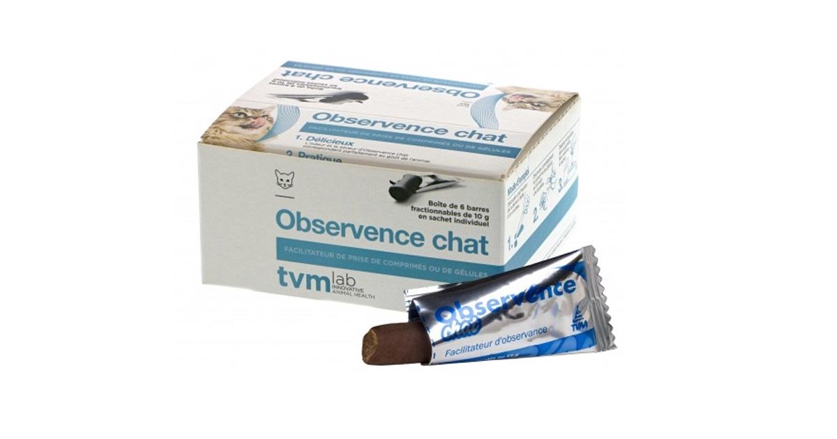 Observence Chat TVM