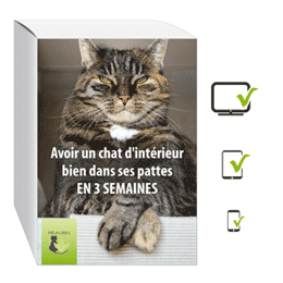 Pack solutions ennui chat