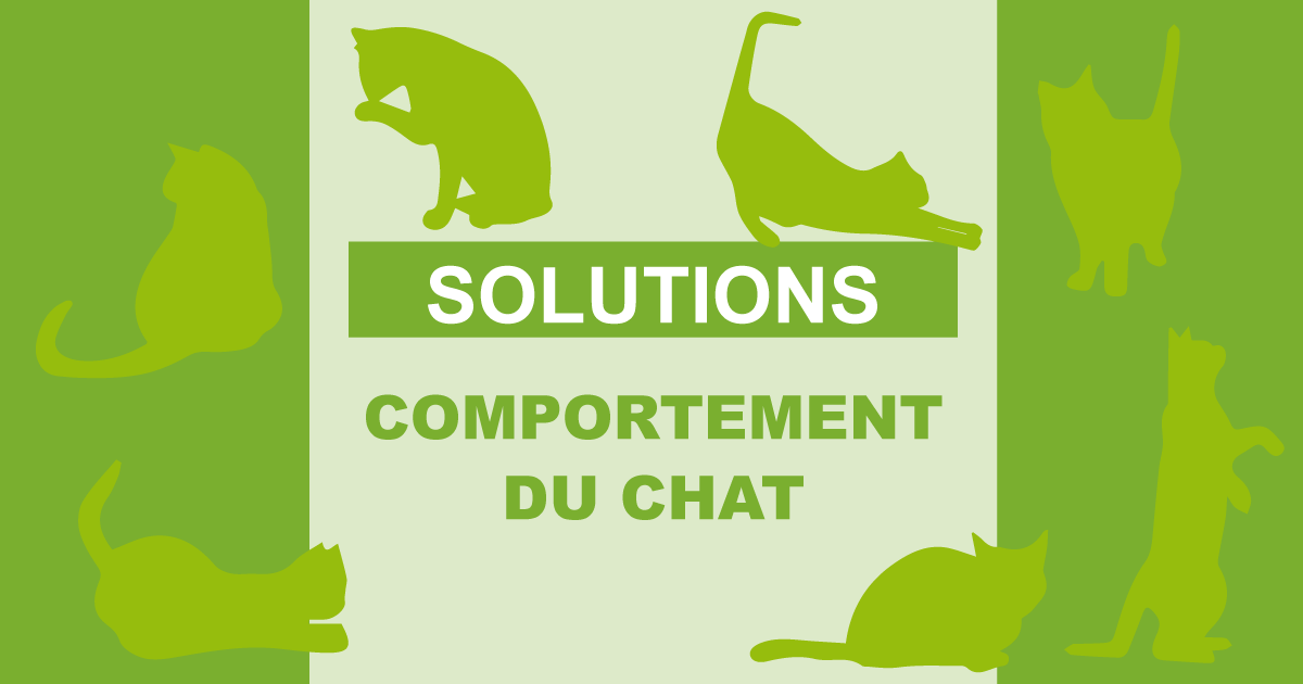 Solutions comportementaliste chat